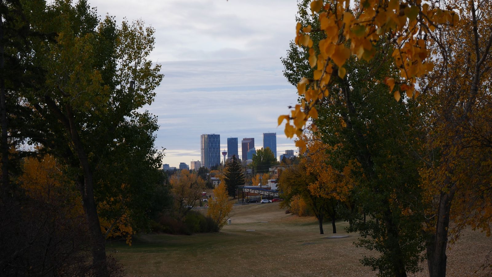Downtown Calgary skyline in autumn