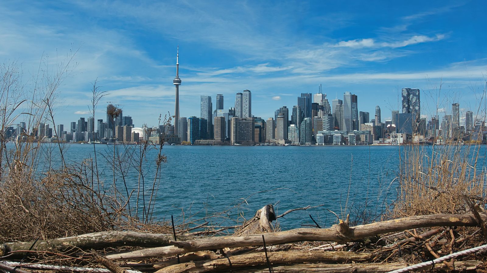 Toronto skyline with the CN Tower