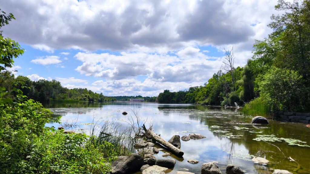 Summer landscape by the river in Peterborough, Ontario
